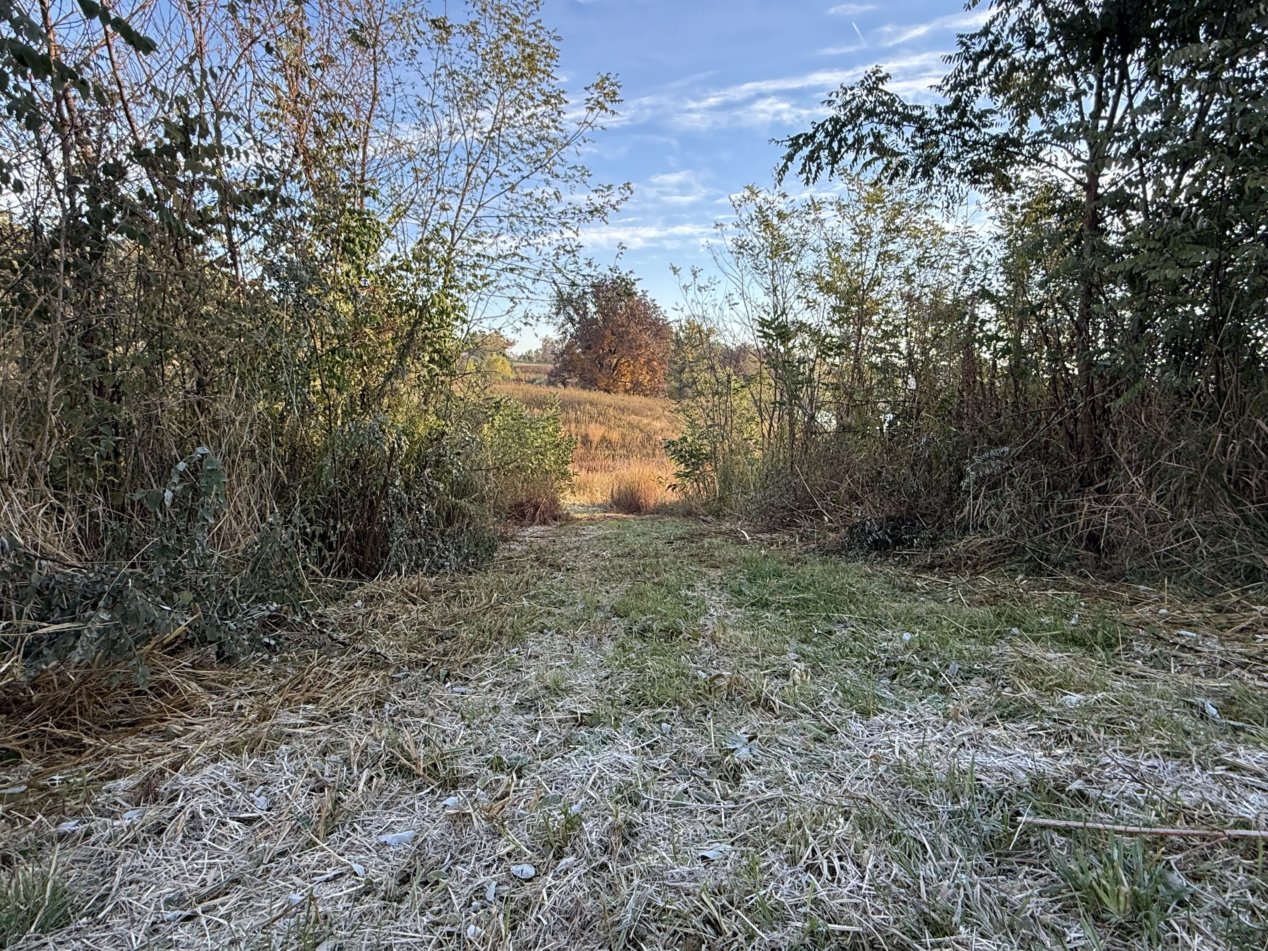 Listing Photo: Photo Oct 30 2025, 8 43 06 AM